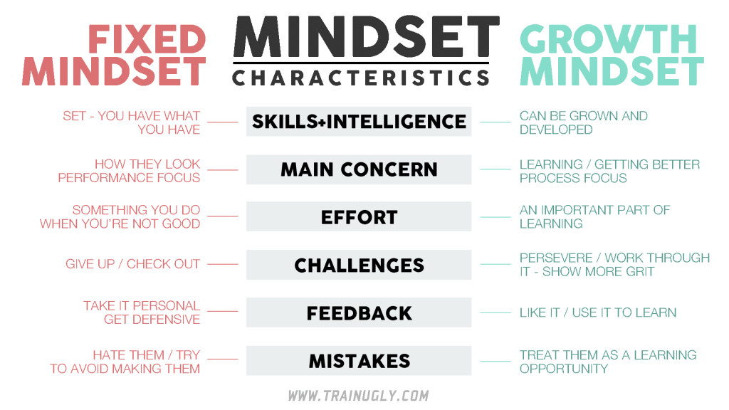 What does it mean to have a growth mindset?