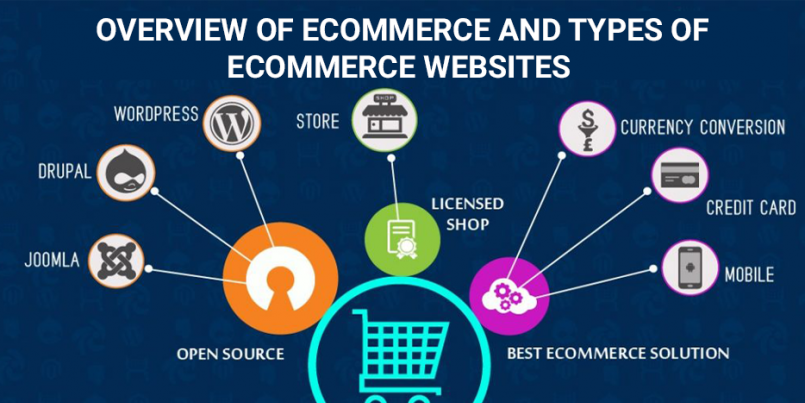 e commerce types